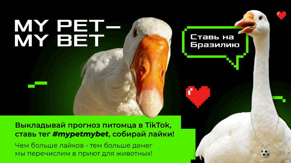 Проект Betera &#8220;My pet — my bet&#8221;