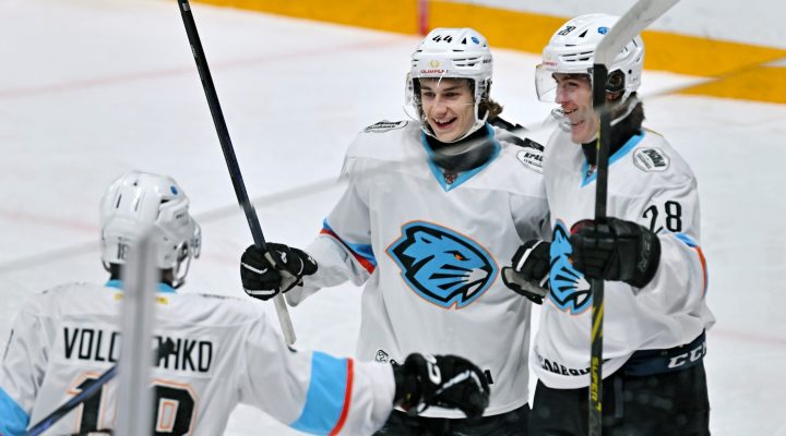 Илья Соловьев может провести третий матч в НХЛ. Он вызван в &#8220;Калгари&#8221; из фарм-клуба