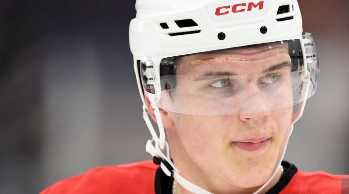 Пьеррик Дюбе: без Беларуси и России хоккейный мир теряет многое