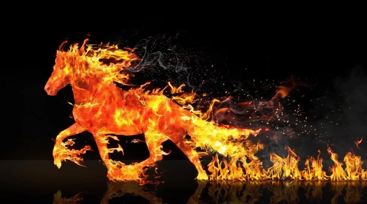 Подробный спортивный календарь на 2026 год