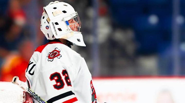 Журналист Зислис заявил, что минское &laquo;Динамо пыталось привезти хоккеиста из Европы