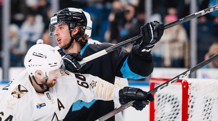 Журналист Зислис заявил, что минское &laquo;Динамо пыталось привезти хоккеиста из Европы