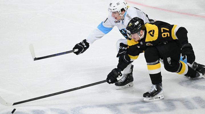 Илья Усик сменил «Маккаби» из Тель-Авива на «Пермских Медведей»